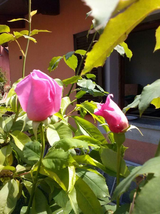 Le Ginestre Bed & Breakfast Caselle Torinese Exterior photo